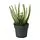 FEJKA - tanaman tiruan dalam pot, dalam/luar ruang ERICA GRACILIS, 9 cm | IKEA Indonesia - PE934337_S1