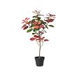 FEJKA - Artificial potted plant, in/outdoor smoke tree, 12 cm
