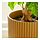 DAKSJUS - set 2 buah pot, kuning-cokelat | IKEA Indonesia - PH196793_S1
