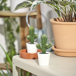 FEJKA - Tanaman tiruan dalam pot, dalam/luar ruang Kaktus, 6 cm
