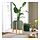 DAKSJUS - plant pot, set of 2, green | IKEA Indonesia - PH196810_S1
