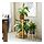 DAKSJUS - stand tanaman, bambu, 60 cm | IKEA Indonesia - PH196811_S1