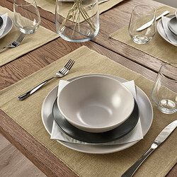SVARTSENAP - Place mat, light beige-green, 35x45 cm