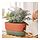 DAKSJUS - self-watering plant pot, terracotta/green, 27x13 cm | IKEA Indonesia - PH196803_S1