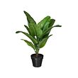 FEJKA - Artificial potted plant, in/outdoor Banana tree, 12 cm