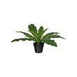 FEJKA - Tanaman tiruan dalam pot, dalam/luar ruang Pakis buaya, 12 cm