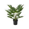 FEJKA - Tanaman tiruan dalam pot, dalam/luar ruang Winterbourn, 19 cm