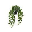 FEJKA - Tanaman tiruan dalam pot, dalam/luar ruang digantung/tanaman Ivy, 15 cm