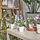 FEJKA - artifi potted plant w pot, set of 3, in/outdoor flower, 6 cm | IKEA Indonesia - PE965365_S1