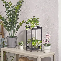 FEJKA - Tanaman tiruan dalam pot, dalam/luar ruang/HOYA KERRII digantung, 9 cm