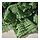 BRÖGGAN - selimut kecil, hijau, 150x200 cm | IKEA Indonesia - PH196734_S1