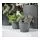 PERSILLADE - pot tanaman, abu-abu tua, 12 cm | IKEA Indonesia - PE723548_S1