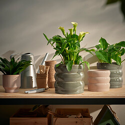 HASSELBUKETT - Plant pot, in/outdoor/green/brown, 15 cm
