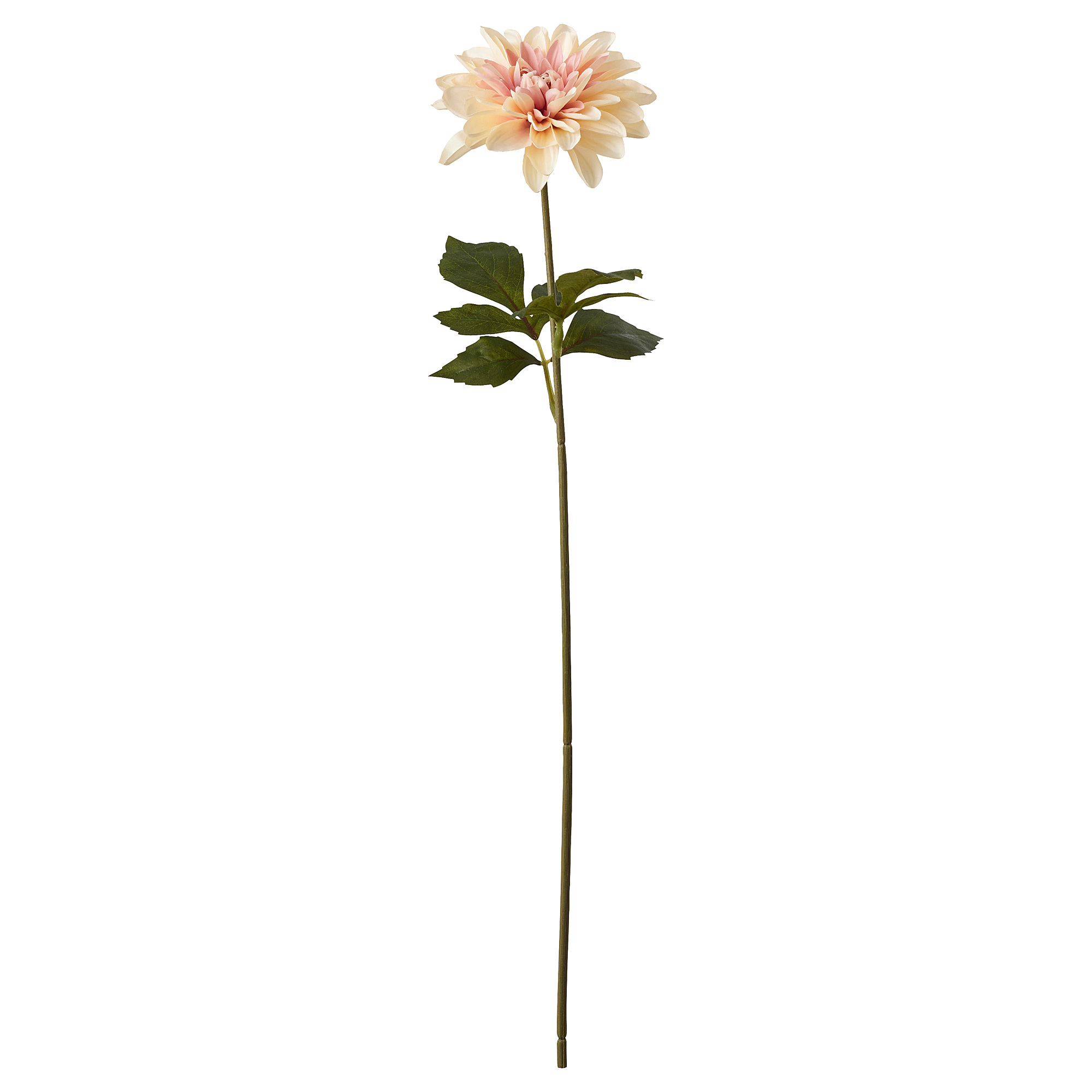 SMYCKA artificial flower, in/outdoor Dahlia/pink, 67 cm | IKEA Indonesia