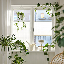 HORNVALLMO - Pleated blind, white/top-down bottom-up, 100x130 cm