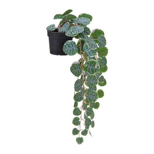 FEJKA artificial potted plant