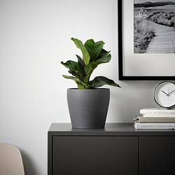 PERSILLADE - Plant pot, dark grey, 15 cm