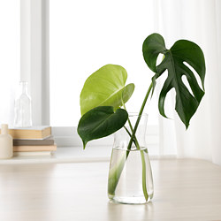 KARAFF - Karafe, kaca bening, 1.0 l