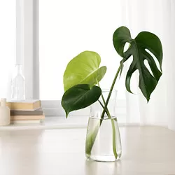 KARAFF - Karafe, kaca bening, 1.0 l