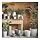 SOJABÖNA - pot tanaman, putih, 19 cm | IKEA Indonesia - PE903266_S1