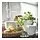 SOJABÖNA - pot tanaman, putih, 9 cm | IKEA Indonesia - PE903338_S1
