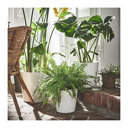 SOJABÖNA - Pot tanaman, putih, 32 cm