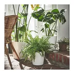 SOJABÖNA - Pot tanaman, putih, 19 cm