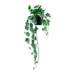 FEJKA - Tanaman tiruan dalam pot, dalam/luar ruang/digantung tanaman Ivy, 12 cm