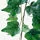 FEJKA - artificial potted plant, in/outdoor/hanging Ivy, 12 cm | IKEA Indonesia - PE782561_S1