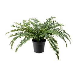FEJKA - Tanaman tiruan dalam pot, dalam/luar ruang paku-pakis, 15 cm