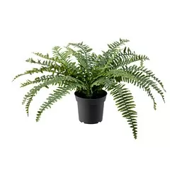FEJKA - Tanaman tiruan dalam pot, dalam/luar ruang paku-pakis, 15 cm