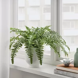 FEJKA - Tanaman tiruan dalam pot, dalam/luar ruang paku-pakis, 15 cm
