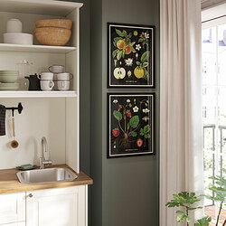 KNOPPÄNG - Frame with poster, vintage botanical fruit charts, 40x50 cm