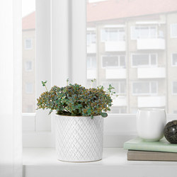 CHIAFRÖN - Plant pot, white, 9 cm