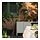 DAKSJUS - pot gantung, set isi 2, dalam/luar ruang abu-abu hijau muda | IKEA Indonesia - PH196941_S1
