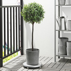 BOYSENBÄR - Plant pot, in/outdoor light grey, 15 cm