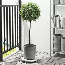 BOYSENBÄR - Pot tanaman, dalam/luar ruang abu-abu muda, 15 cm