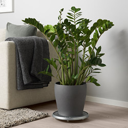 PERSILLADE - Plant pot, dark grey, 24 cm