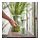 HEDERSAM - scented pillar candle, Fresh grass/light green, 30 hr | IKEA Indonesia - PE865845_S1