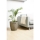 CHRYSALIDOCARPUS LUTESCENS 27 - Tanaman hias, Palem (Kuning) | IKEA Indonesia - 00001103_S1