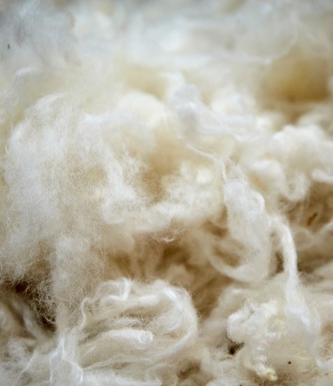 Wool is a natural, sustainable, renewable material that is often used in IKEA rugs.