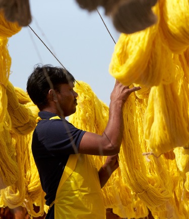 Yellow wool yarn that was just dyed, drying before becoming rugs for IKEA.