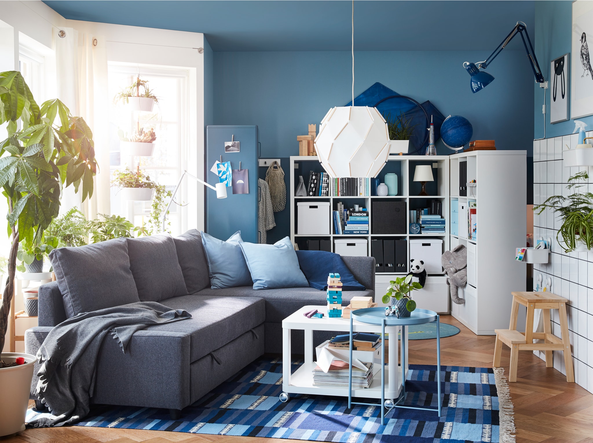 Living room with a dark grey corner sofa-bed, a blue-patterned rug and a freestanding shelving unit with space behind it.