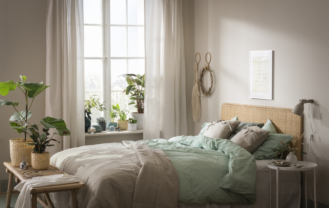 tanaman hias dalam ruangan