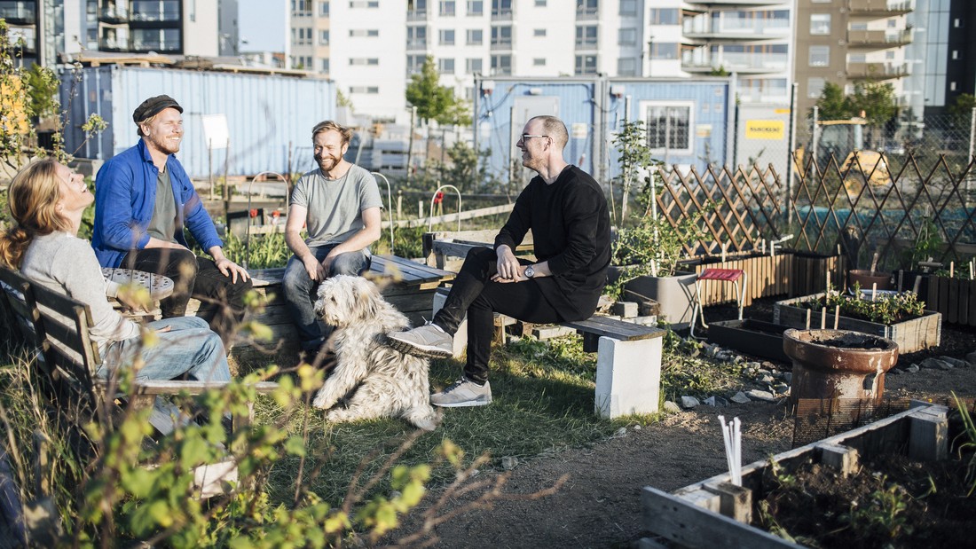 halaman belakang rumah minimalis