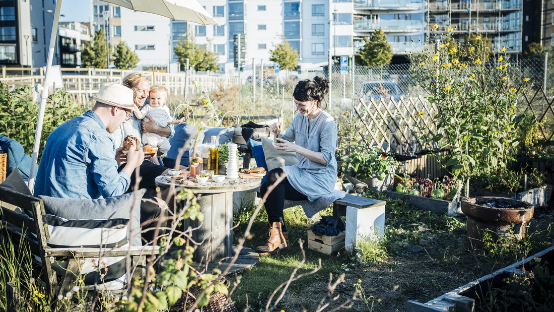 halaman belakang rumah minimalis