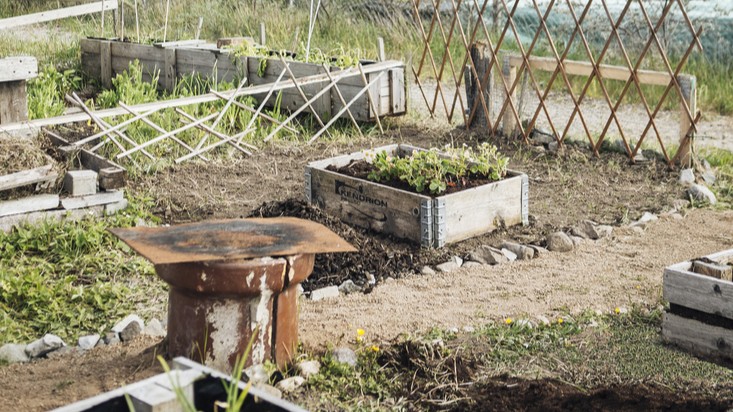 halaman belakang rumah minimalis