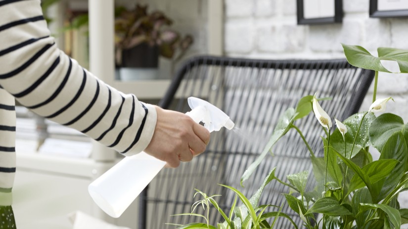 Cara mengatasi rayap