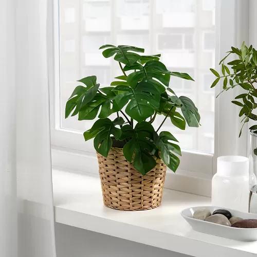 FEJKA small plant from IKEA Indonesia