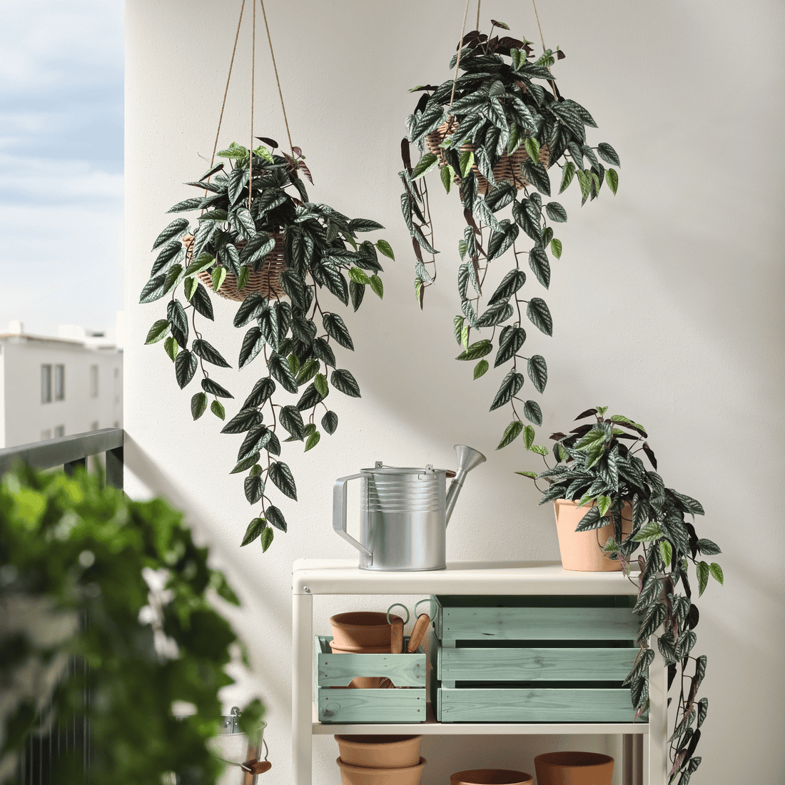 FEJKA plants with pots and hanging plant stand